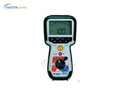 MIT481絕緣電阻測(cè)試儀